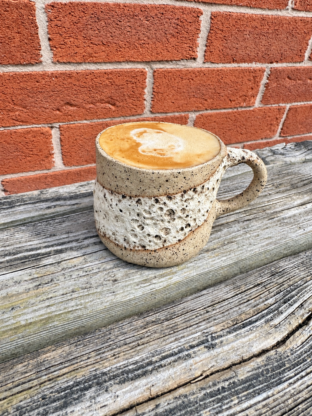 luna x terra | mug